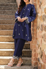 Solid Embroidered Korean Raw Silk Stitched 2 Piece (Shirt/Trouser)