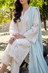 Solid Embroidered Lawn Stitched 3 Piece
