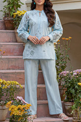 Solid Embroidered Poplin Stitched 2 piece (Shirt/Trouser)