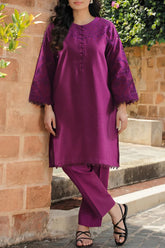 Solid Embroidered Korean Silk Stitched 2 Piece (Shirt/Trouser)