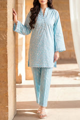 Stitched printed Embroidered Lawn 2 Piece (Shirt/Trouser)