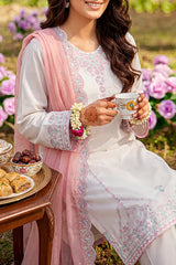Solid Embroidered Cambric Stitched 2 Piece (Shirt/Trouser)
