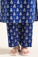 Printed Lawn Stitched 2 Piece (Shirt/Trouser)