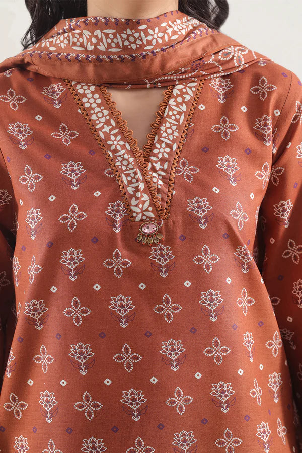 Printed Lawn Stitched 2 Piece (Shirt/Trouser)