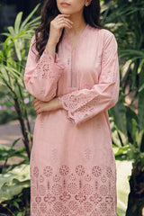 Solid Embroidered Lawn Stitched 2 Piece (Shirt/Trouser)