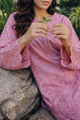 Solid Embroidered Lawn Stitched 2 Piece (Shirt/Trouser)