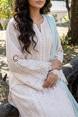 Solid Embroidered Lawn Stitched 3 Piece