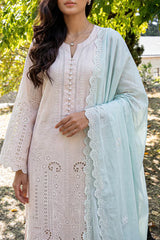 Solid Embroidered Lawn Stitched 3 Piece