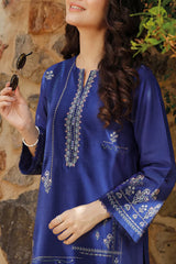 Solid Embroidered Korean Raw Silk Stitched (Shirt/Trouser)
