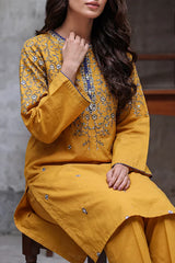 Solid Embroidered Cambric Stitched 2 Piece (Shirt/Trouser)