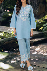 Solid Embroidered Lawn Stitched 2 Piece (Shirt/Trouser)