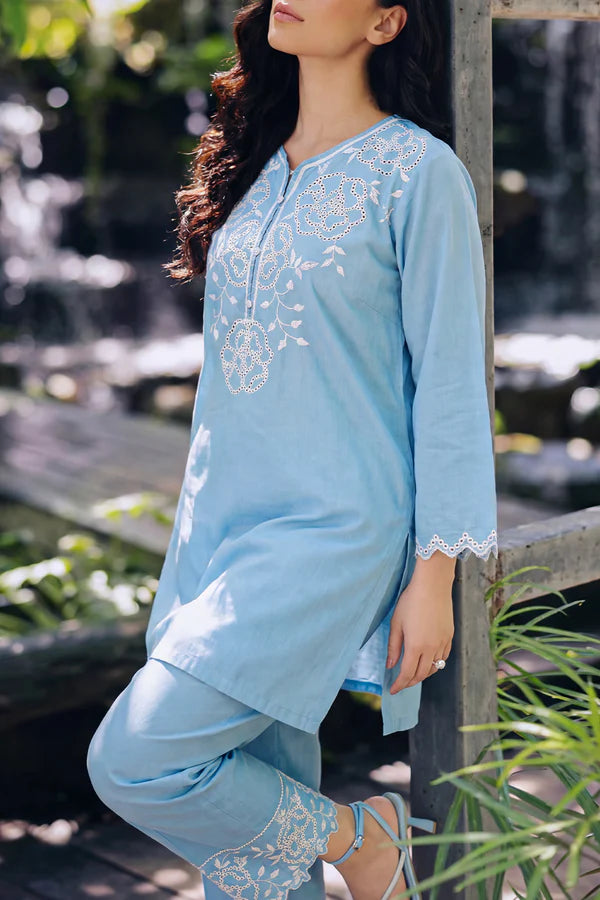 Solid Embroidered Lawn Stitched 2 Piece (Shirt/Trouser)
