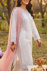 Solid Embroidered Cambric Stitched 2 Piece (Shirt/Trouser)