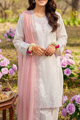 Solid Embroidered Cambric Stitched 2 Piece (Shirt/Trouser)