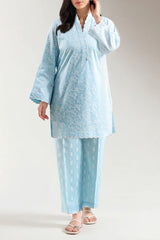 Stitched printed Embroidered Lawn 2 Piece (Shirt/Trouser)