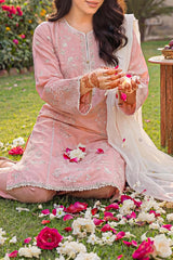 Solid Embroidered Cambric Stitched 3 Piece